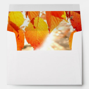 Autumn Leaves Fall Wedding Envelopes