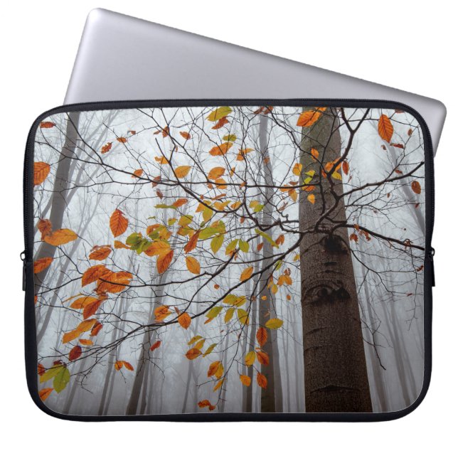Autumn leaves fallen forest leaf laptop sleeve (Front)