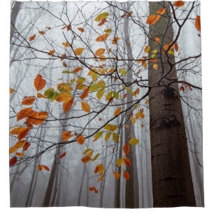 Autumn leaves fallen forest leaf shower curtain