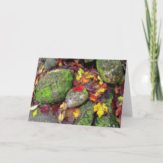 Autumn Leaves,Field Stones, Greeting Card