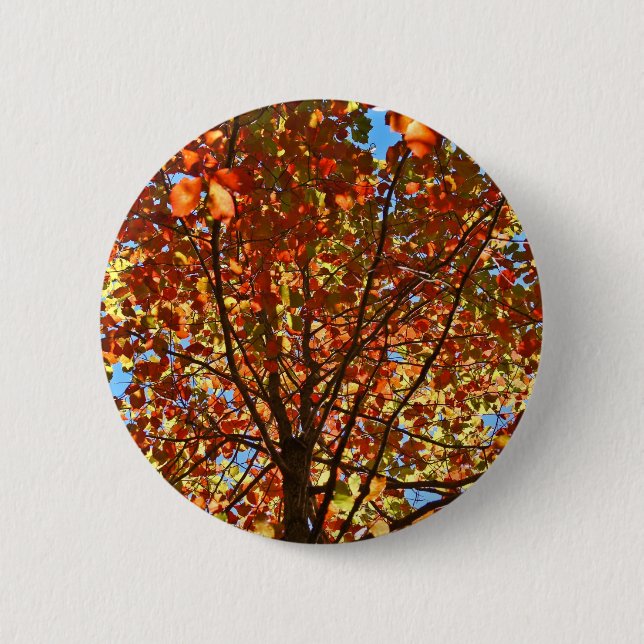 Autumn Leaves Fireworks 6 Cm Round Badge (Front)