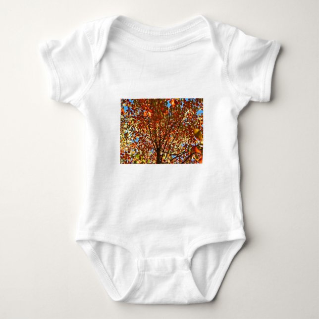 Autumn Leaves Fireworks Baby Bodysuit (Front)