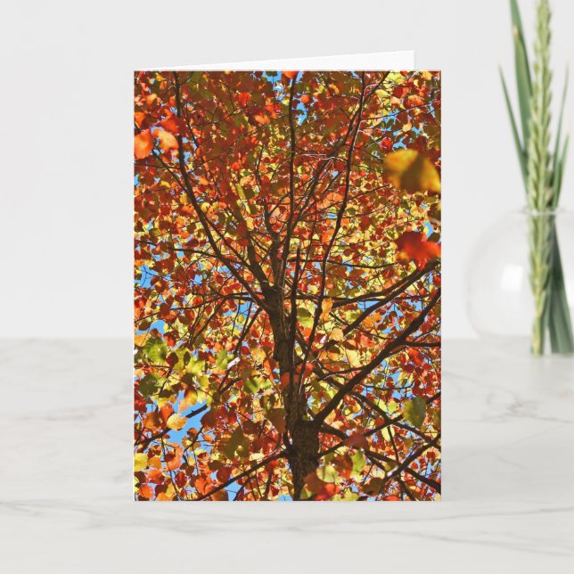Autumn Leaves Fireworks Card (Front)
