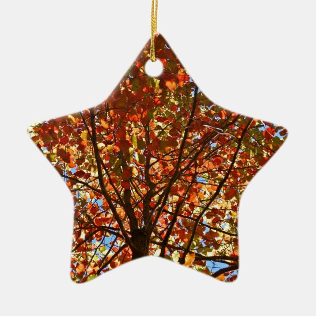 Autumn Leaves Fireworks Ceramic Tree Decoration (Front)