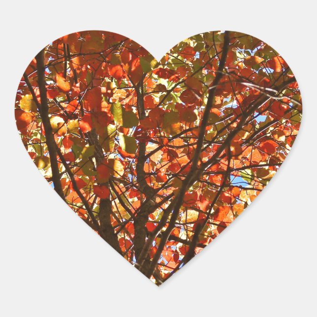 Autumn Leaves Fireworks Heart Sticker (Front)
