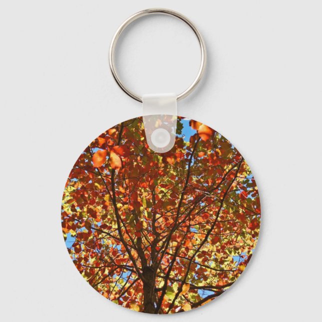Autumn Leaves Fireworks Key Ring (Front)