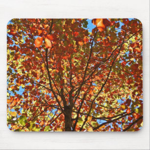 Autumn Leaves Fireworks Mouse Mat