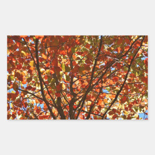 Autumn Leaves Fireworks Rectangular Sticker