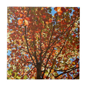 Autumn Leaves Fireworks Tile
