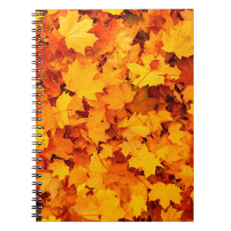 Autumn leaves foliage autumn leaves notebook