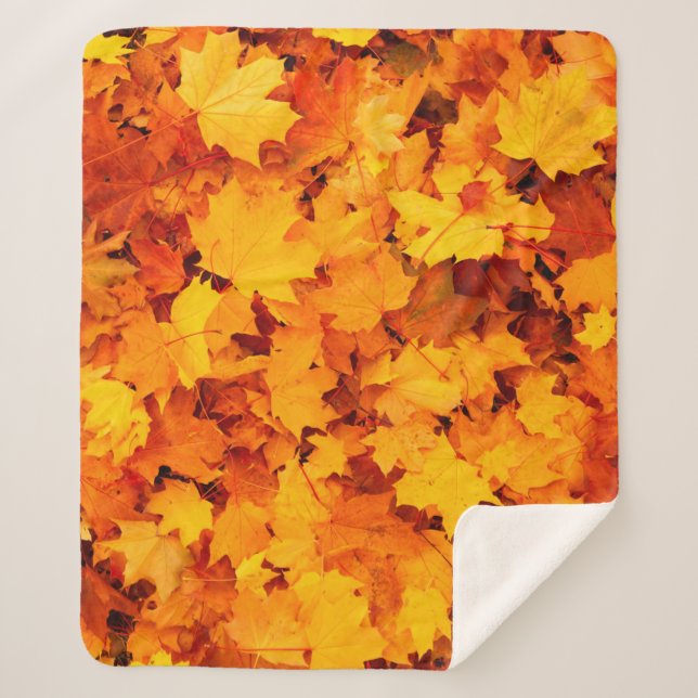 Autumn leaves foliage autumn leaves sherpa blanket (Front)