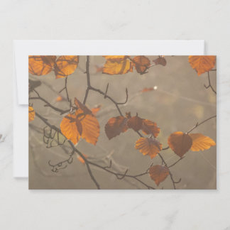 Autumn leaves holiday card