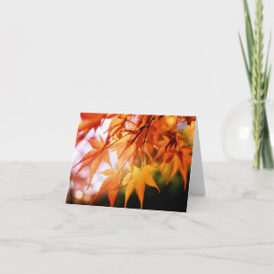 Autumn Leaves in a Japanese Wood Card