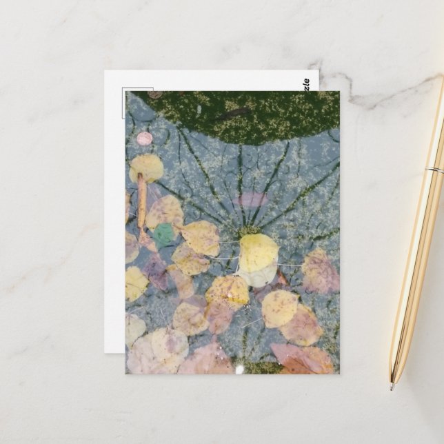 Autumn leaves in a Pella Iowa Fountain Abstract Postcard (Front/Back In Situ)