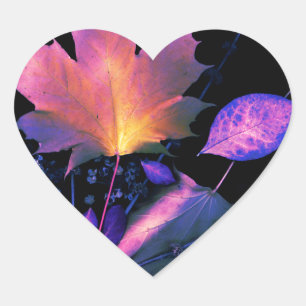 Autumn Leaves in Neon Heart Sticker