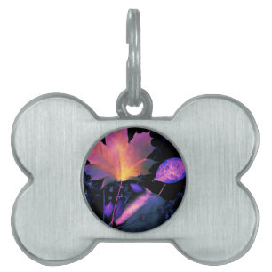 Autumn Leaves in Neon Pet ID Tag