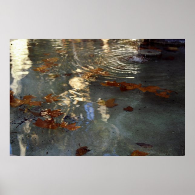 Autumn leaves in Provence Poster (Front)