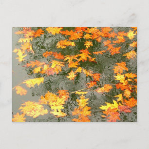Autumn leaves in rain postcard