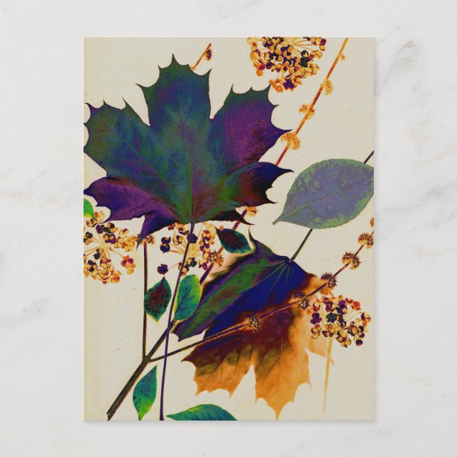 Autumn Leaves in Royal Colours Postcard (Front)