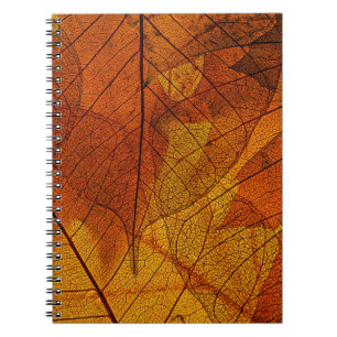 autumn leaves in the detailautumn,background,beaut notebook