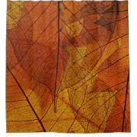 autumn leaves in the detailautumn,background,beaut