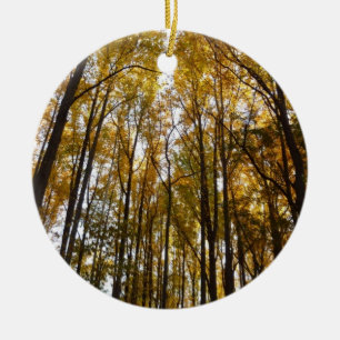 Autumn Leaves in the Morning Maryland Nature Ceramic Tree Decoration