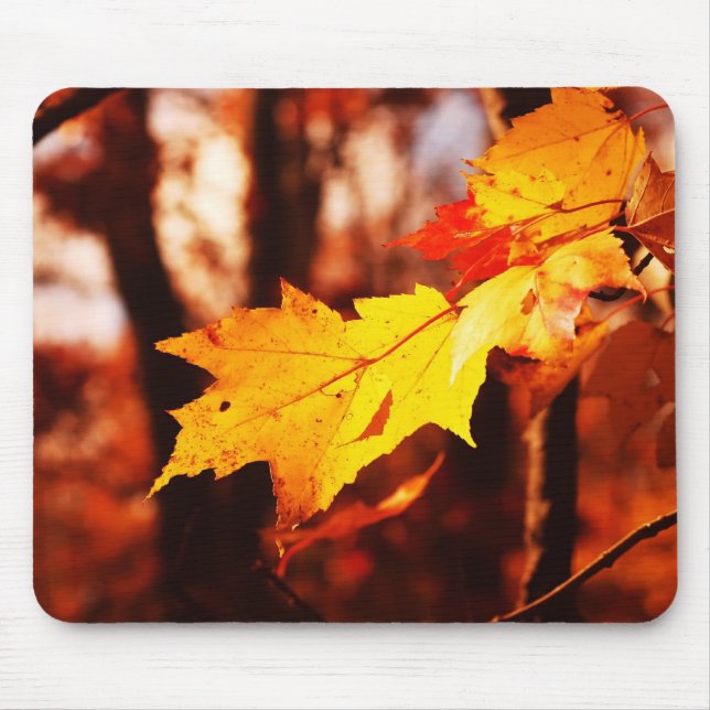 Autumn Leaves in the Poconos Mouse Mat (Front)
