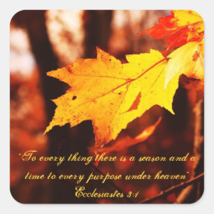 Autumn Leaves in the Poconos Stickers