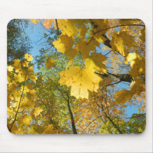 Autumn Leaves in The Sky Mouse Mat