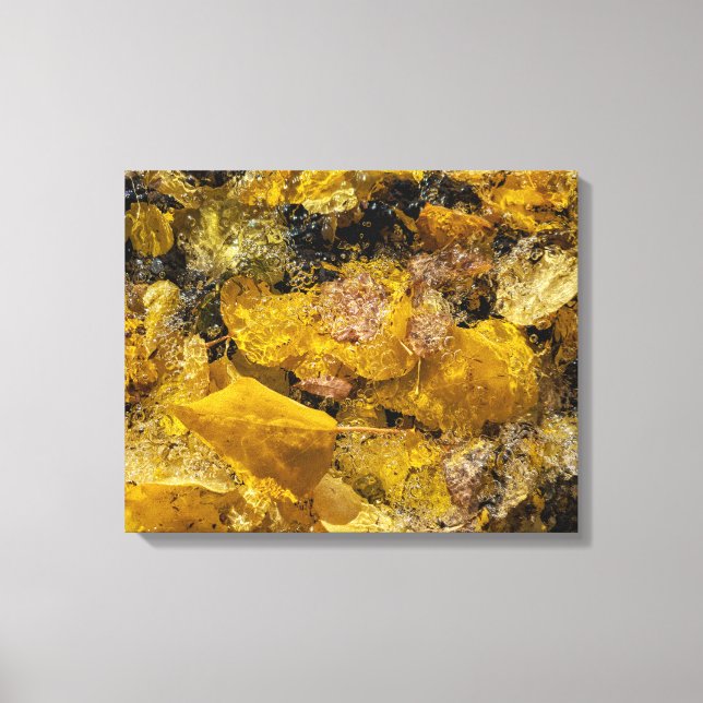 Autumn Leaves in Water Canvas Print (Front)