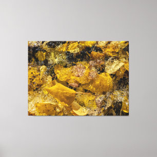 Autumn Leaves in Water Canvas Print