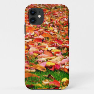 Autumn leaves iPhone 5 case