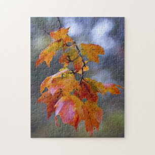 Autumn Leaves Jigsaw Puzzle