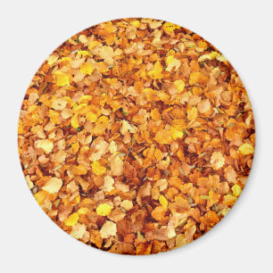 Autumn Leaves Large Round Magnet