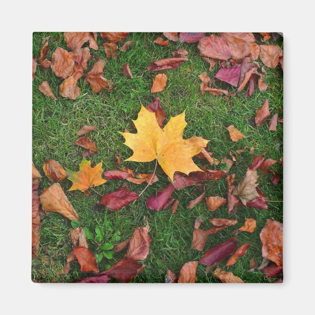Autumn Leaves Magnet (Front)