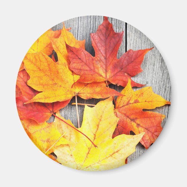 Autumn Leaves Magnet (Front)