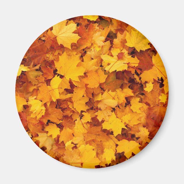 Autumn Leaves Magnet (Front)