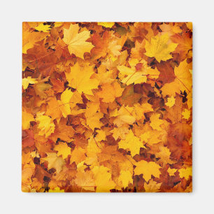 Autumn Leaves Magnet