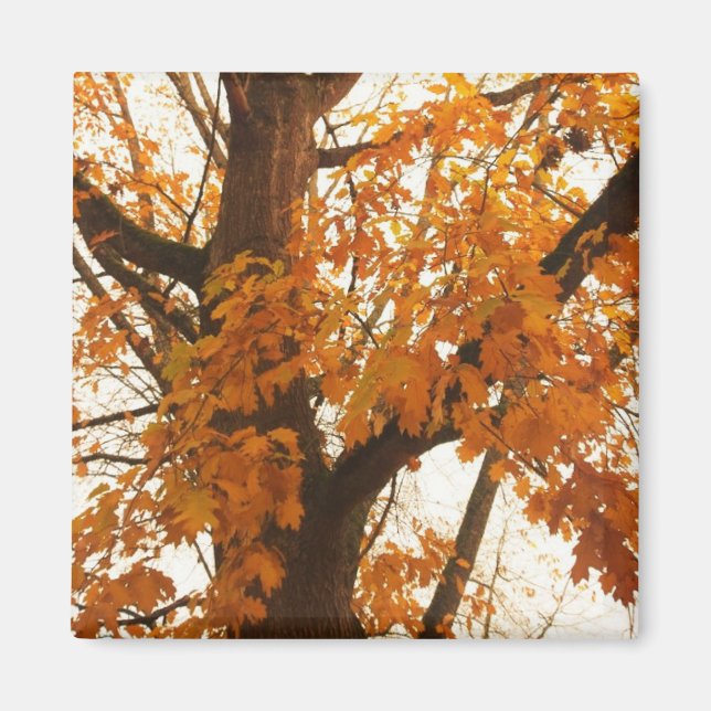 Autumn Leaves Magnet (Front)