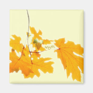 Autumn Leaves Magnet
