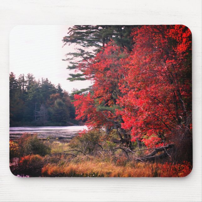 Autumn Leaves Marsh Nature  Mouse Mat (Front)