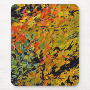 Autumn Leaves Mouse Mat
