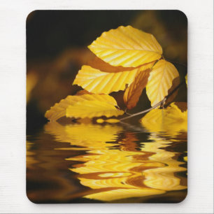autumn leaves mouse mat