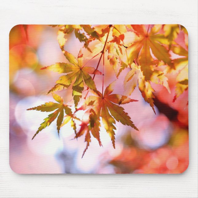Autumn Leaves Mouse Pad (Front)