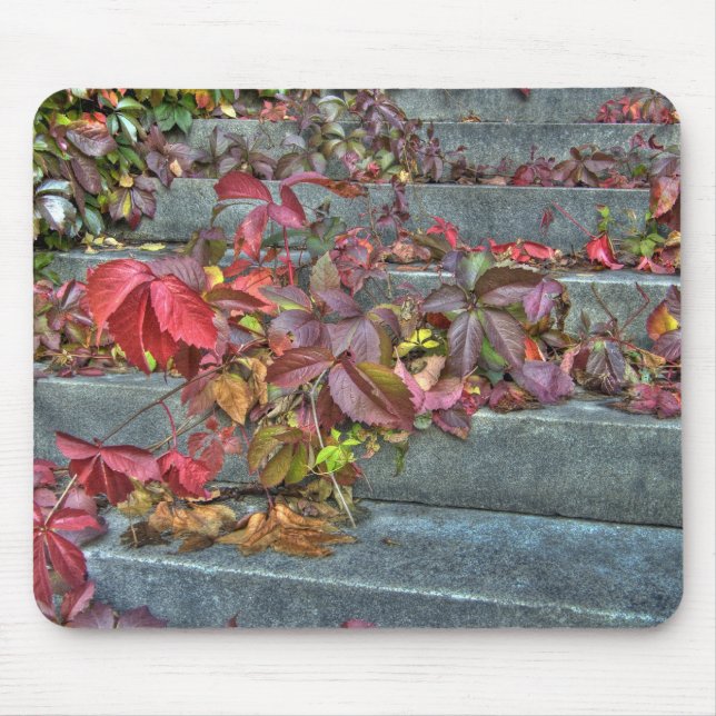 Autumn leaves mousepad (Front)