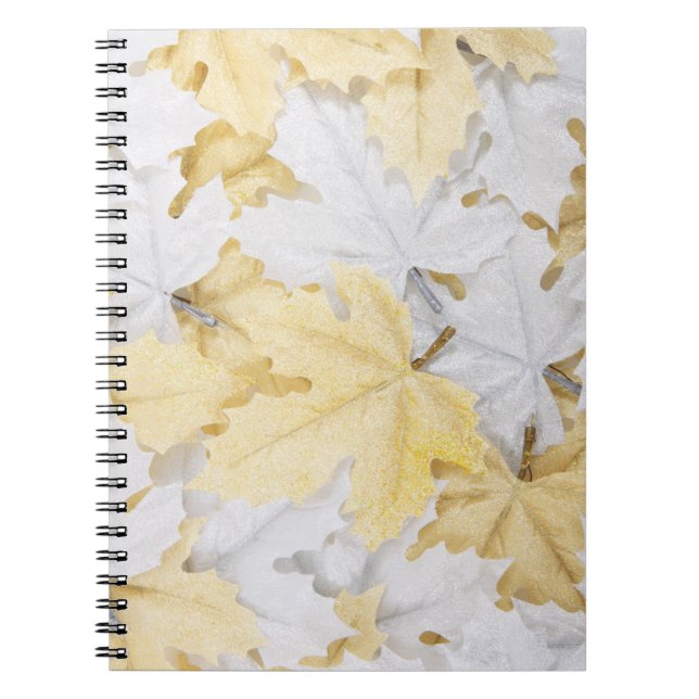 Autumn Leaves Notebook (Front)