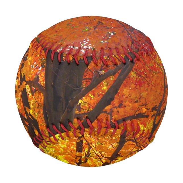 Autumn Leaves of Yellow and Orange Photo Baseball (Back)