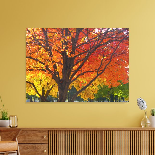 Autumn Leaves of Yellow and Orange Photo Canvas Print (Insitu(LivingRoom))
