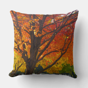 Autumn Leaves of Yellow and Orange Photo Cushion