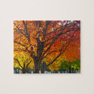 Autumn Leaves of Yellow and Orange Photo Jigsaw Puzzle